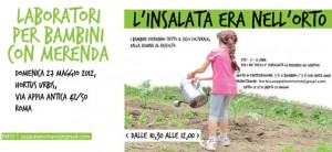 2012-05-27-insalata-era-nell'orto_